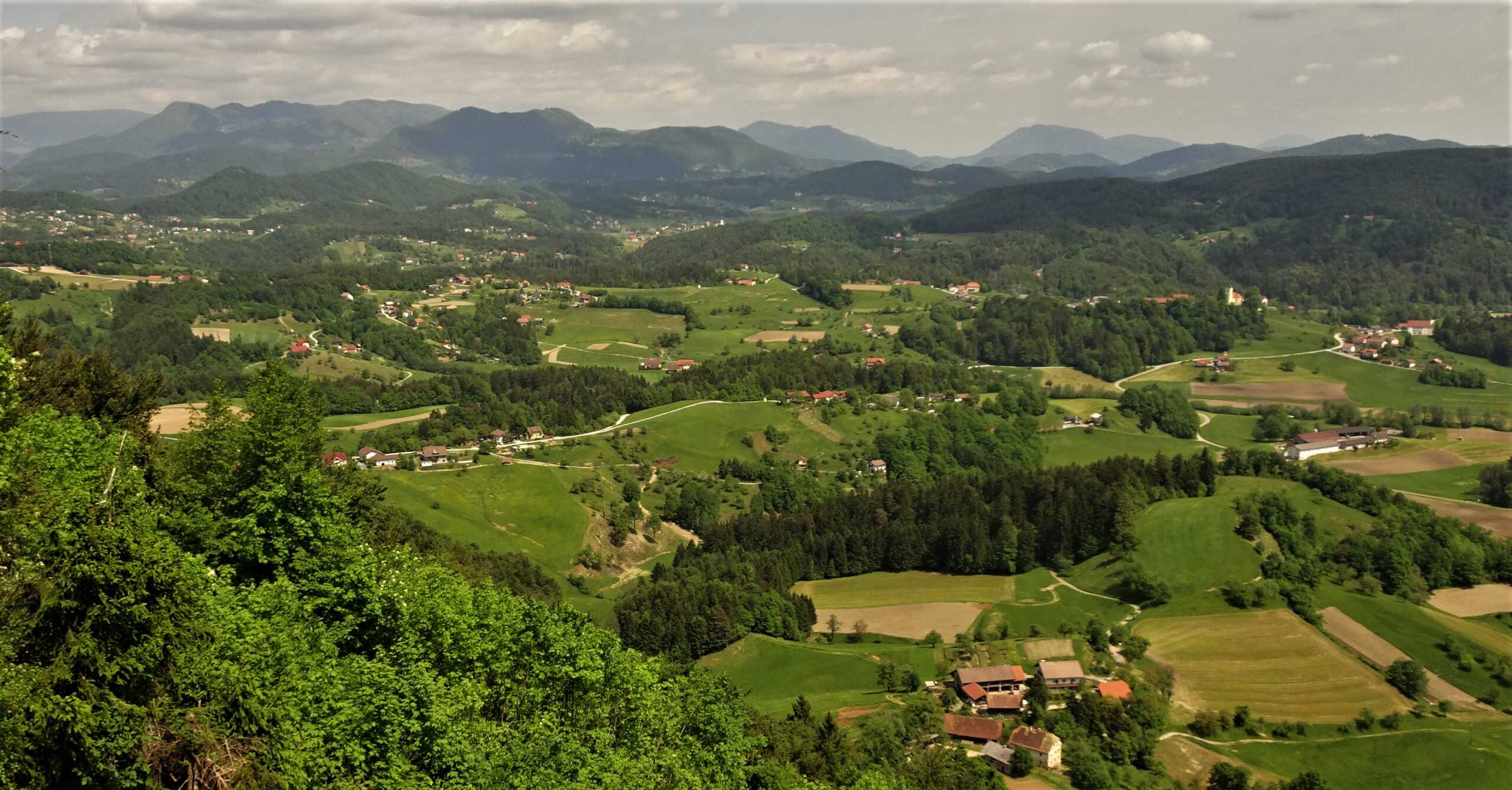 Gora Oljka 13 Gora Oljka 13