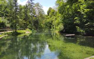 GOGO pohod Stari maln