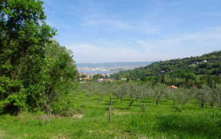 GOGO pohod - Elerji