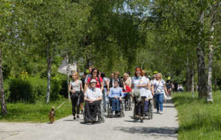 Pohod ob dnevu MS 2025