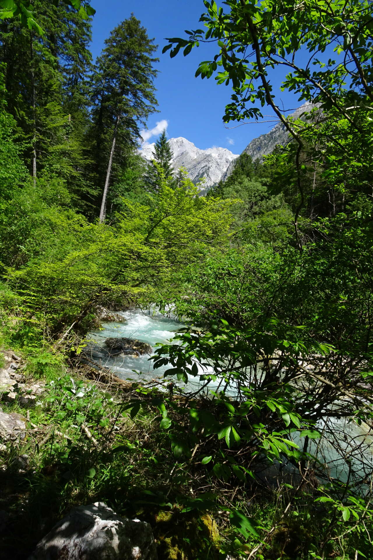 DSC03180