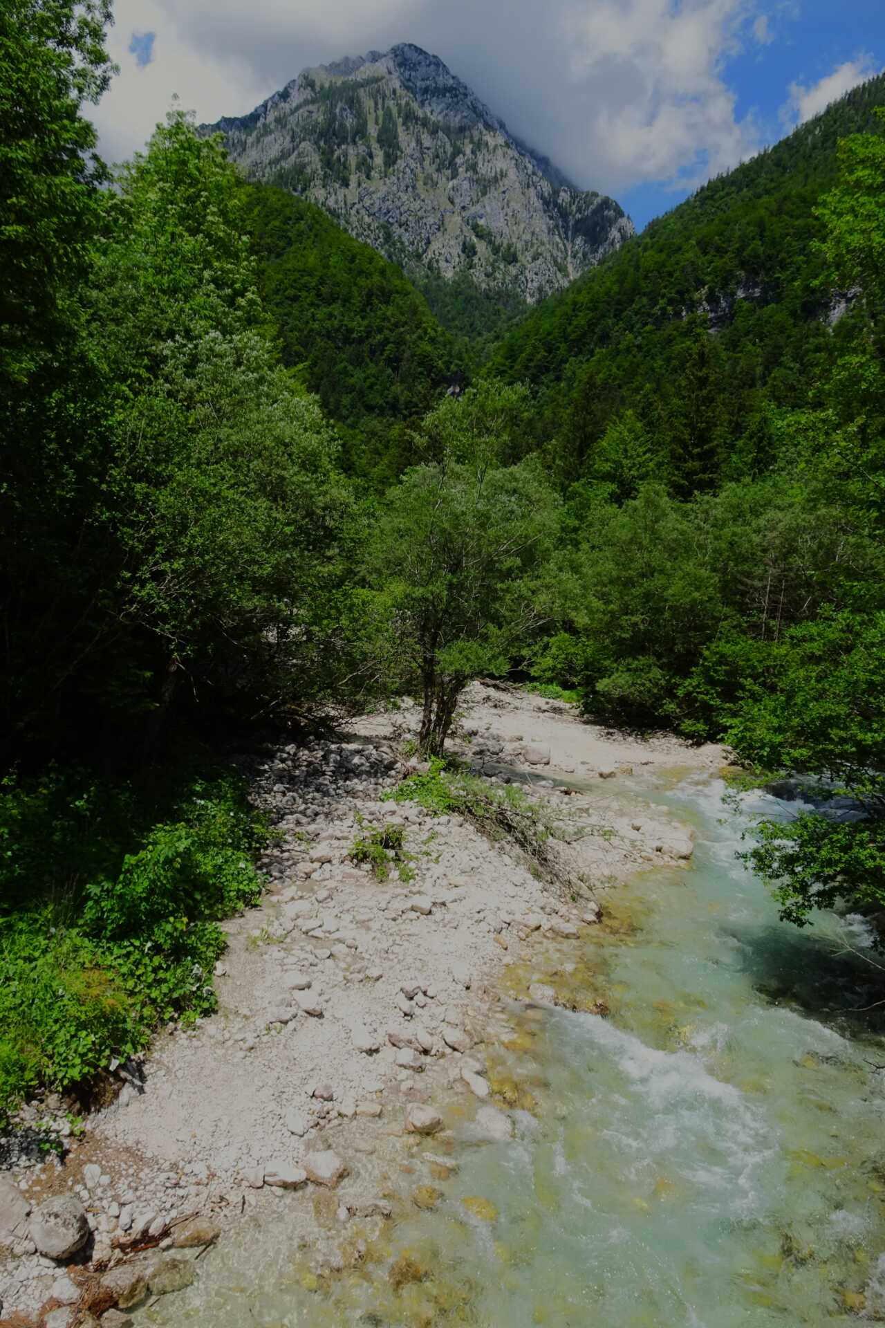 DSC03204