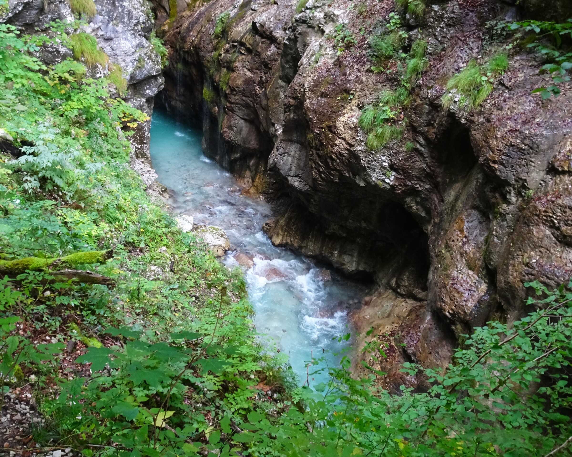 DSC03824