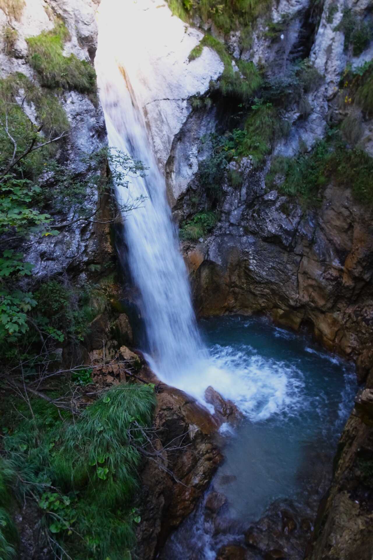 DSC03866