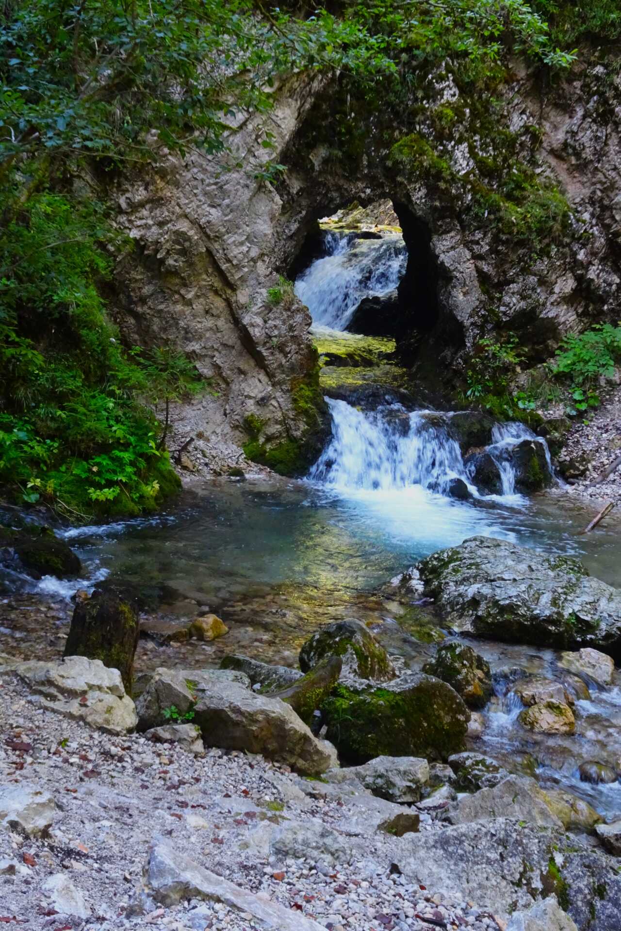 DSC03895